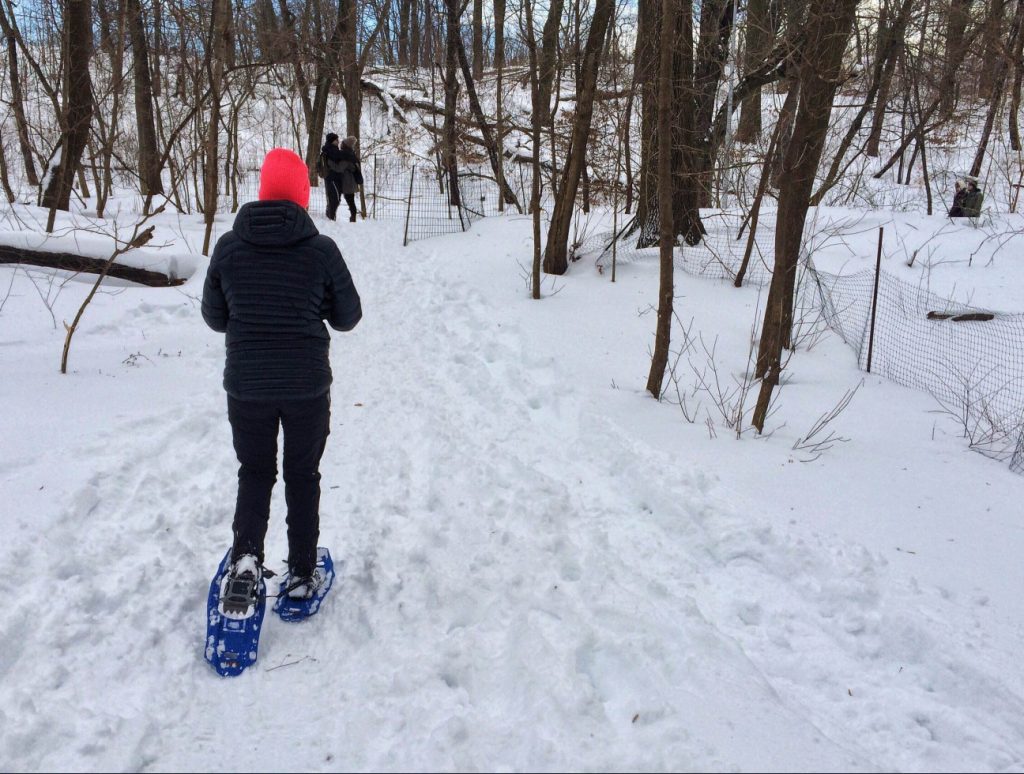 Snowshoeing in NYC