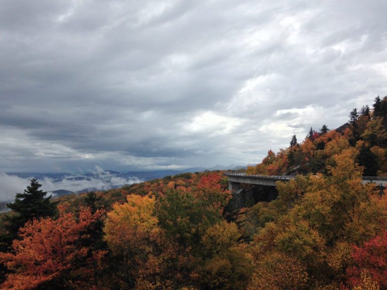 It’s all about Fall.