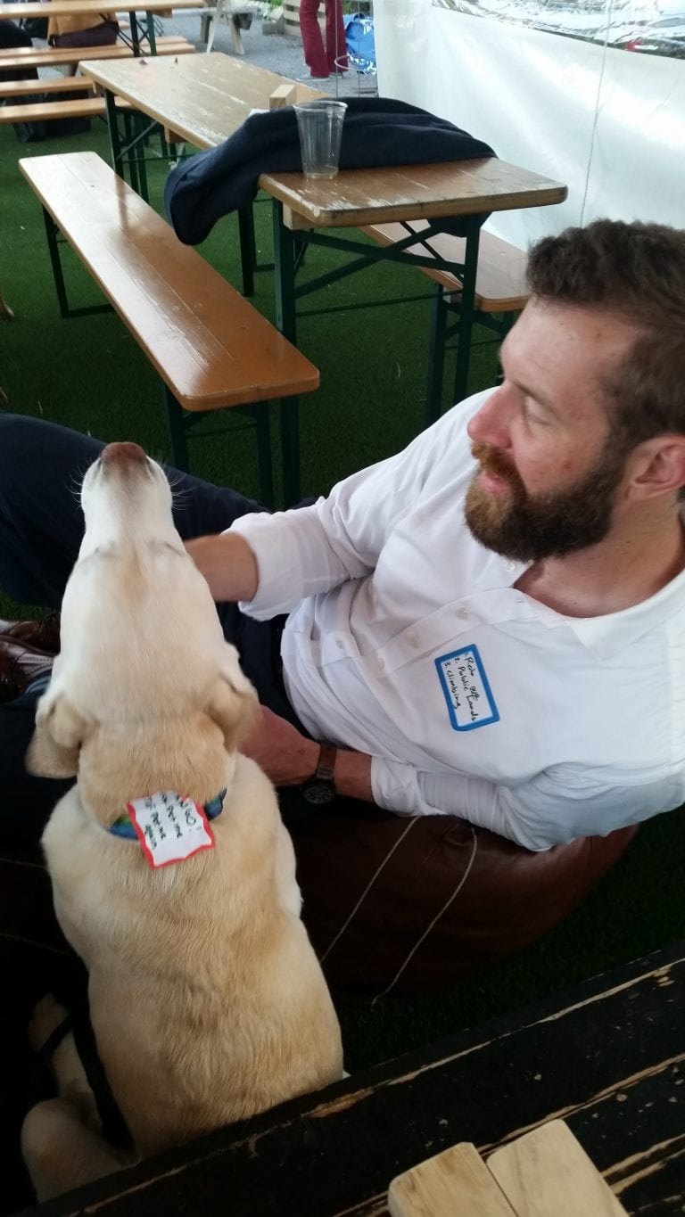 DC: Who let the dogs out?