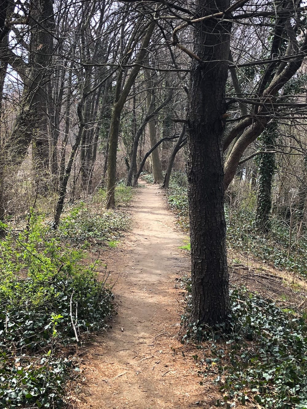 trail running new york city