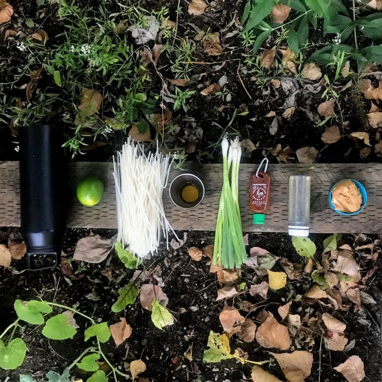 Camp Cooking Pad Thai