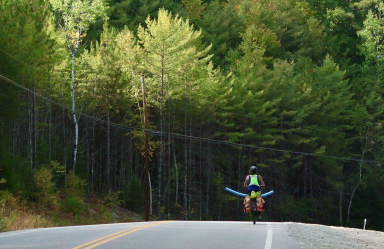 Following the Memories and the Leaves