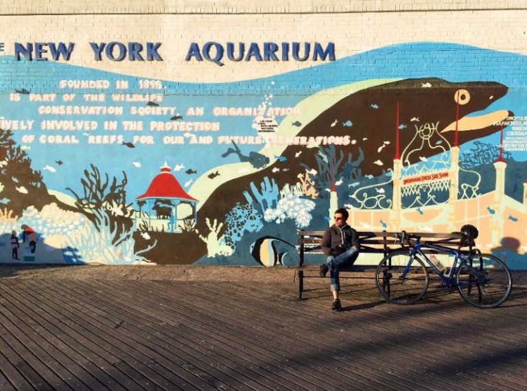 Bike to Coney Island