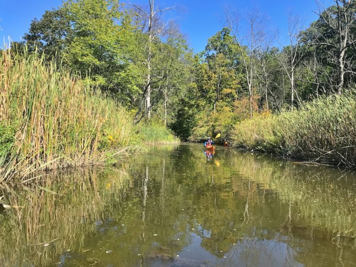 Kayaking Constitution Marsh Mappy Hour Blog