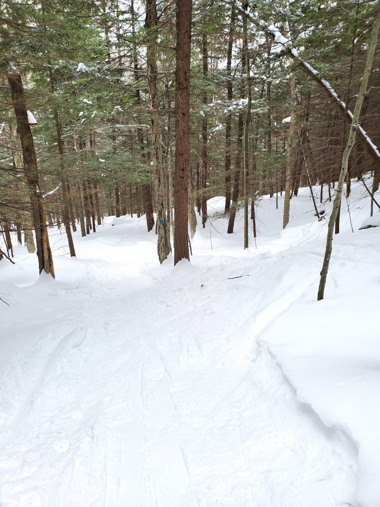 Sidecountry skiing near Belleayre Mountain in the Catskills