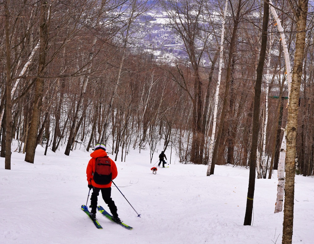 Backcountry Skiing in the Berkshires