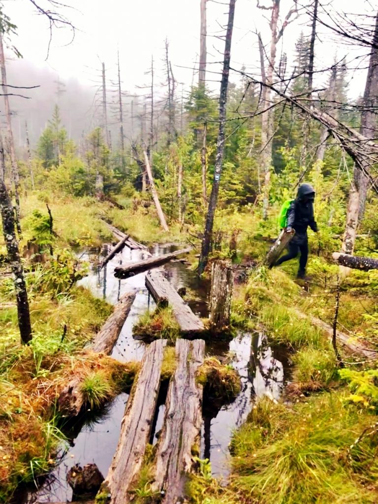 High-Cascades_Kim_Lee_Adirondack_Backpack_14b_FullSizeRender(11)_wetlands