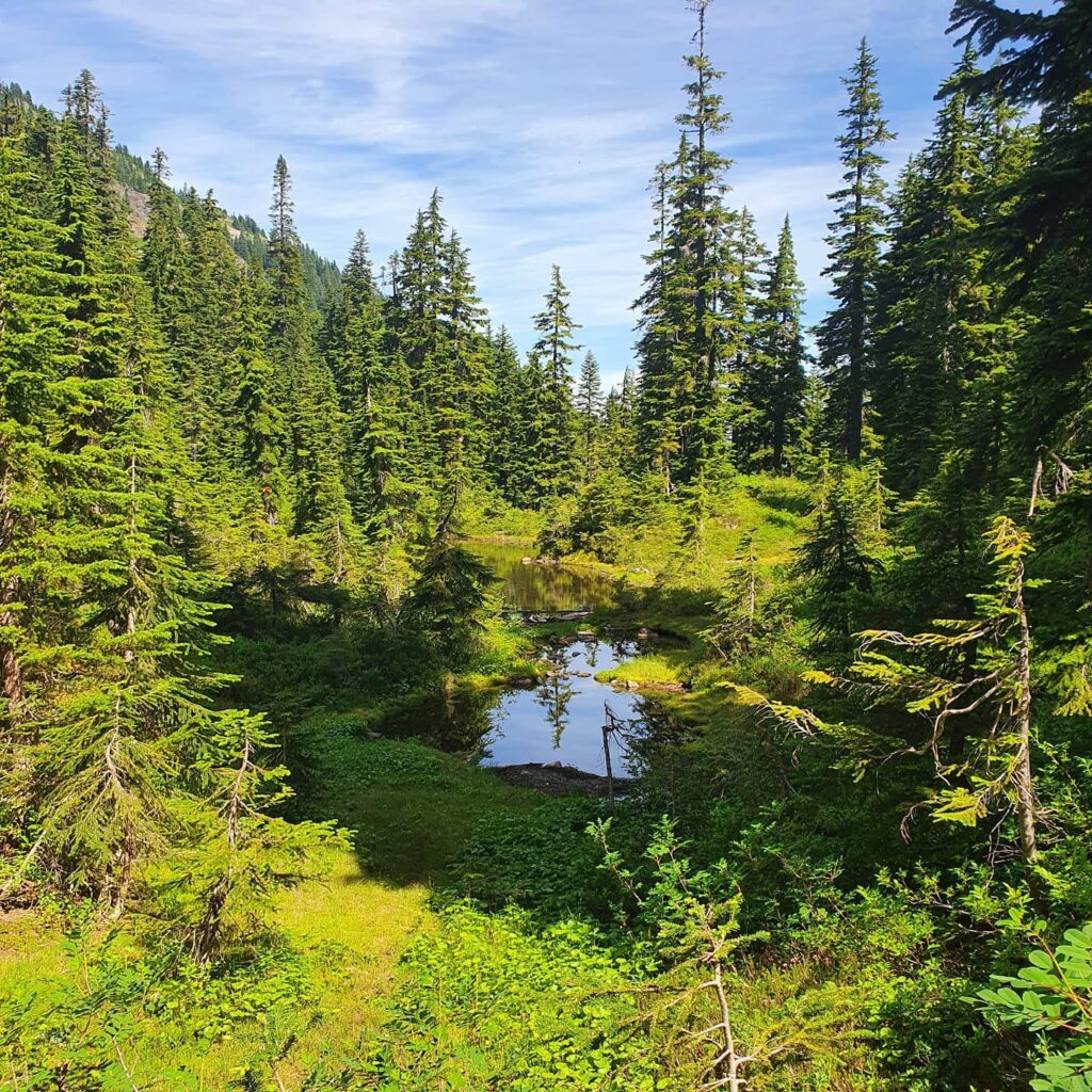 Views from Mirror Lake hike