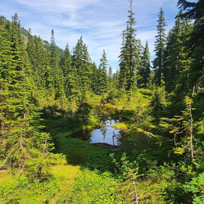 Views from Mirror Lake hike