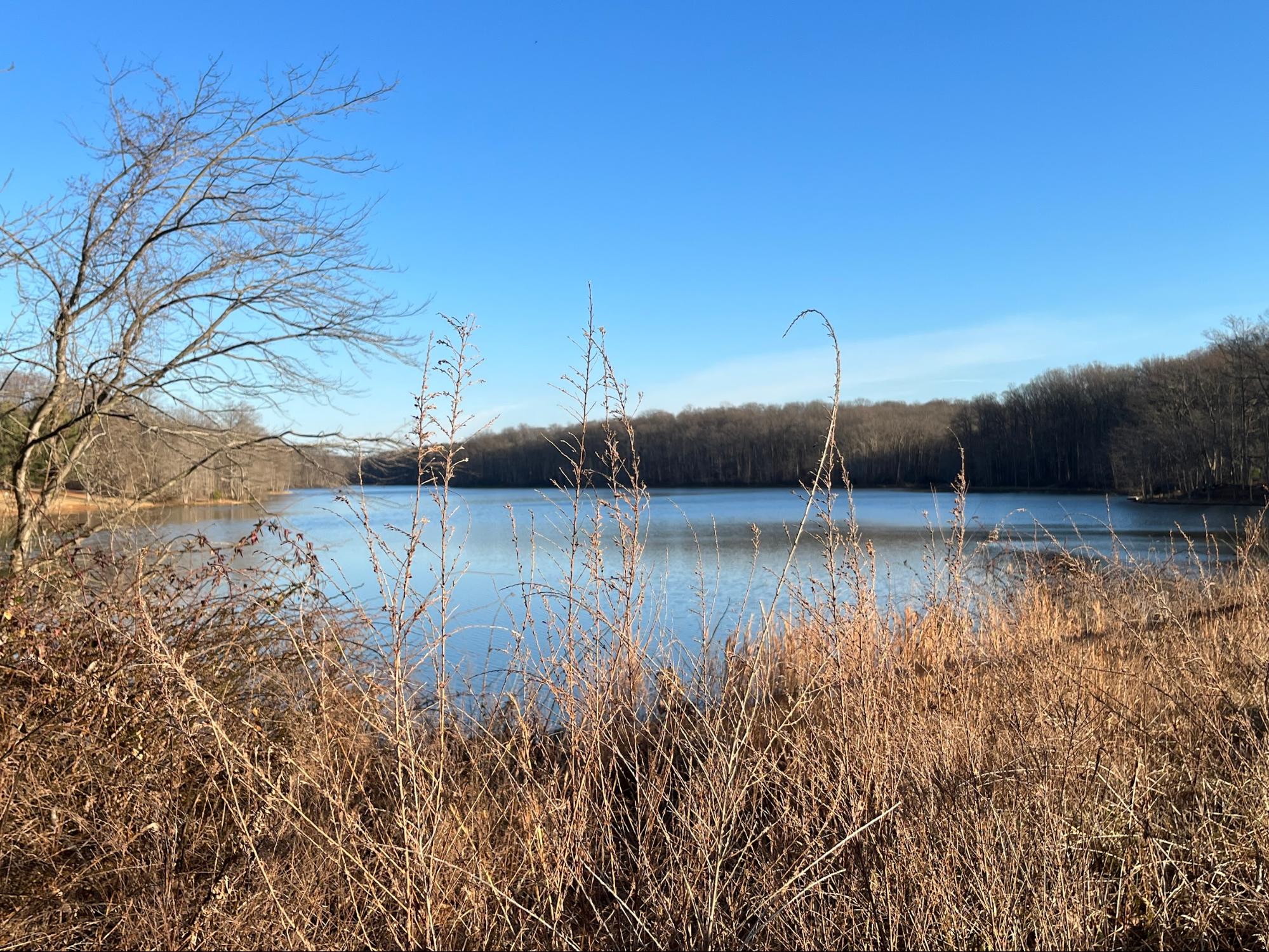 Dc: Clopper Lake Loop Trail At Seneca Creek State Park - Mappy Hour Blog