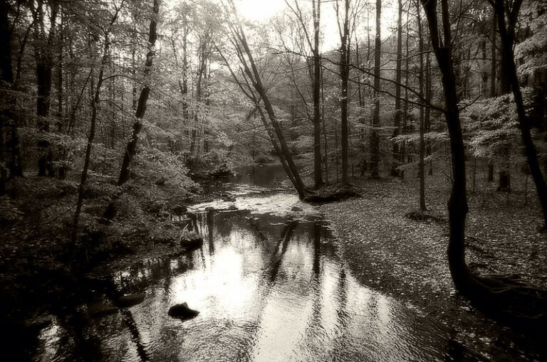 South Mountain Reservation