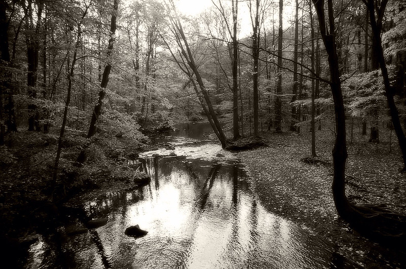South Mountain Reservation