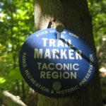 Blue Trail Marker