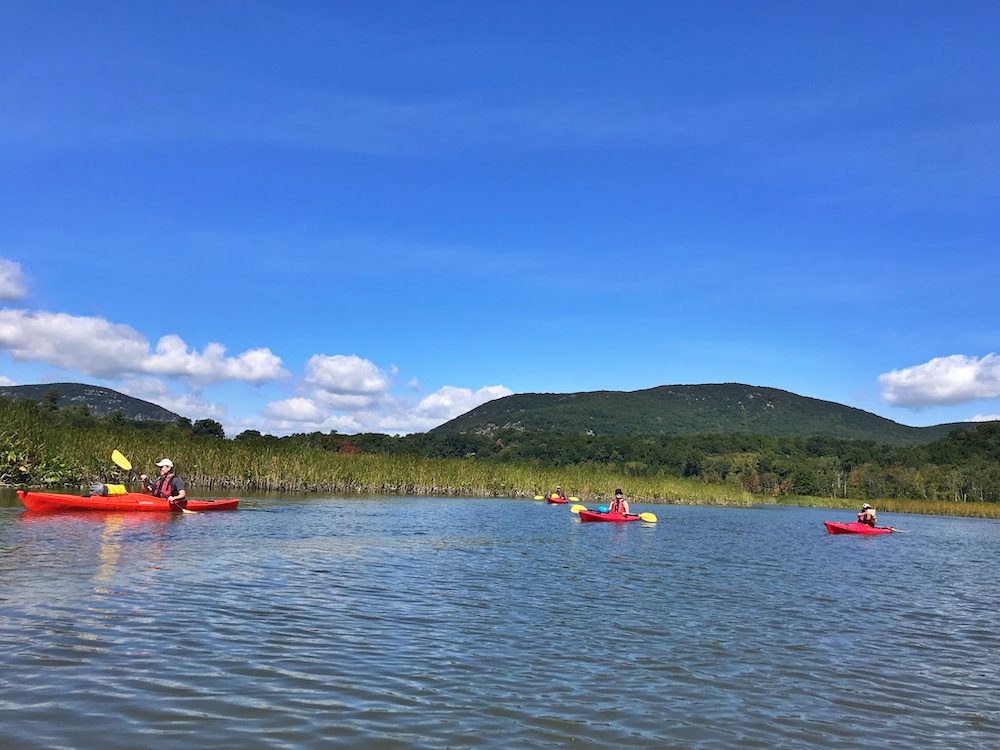 Kayaking in Constitution Marsh