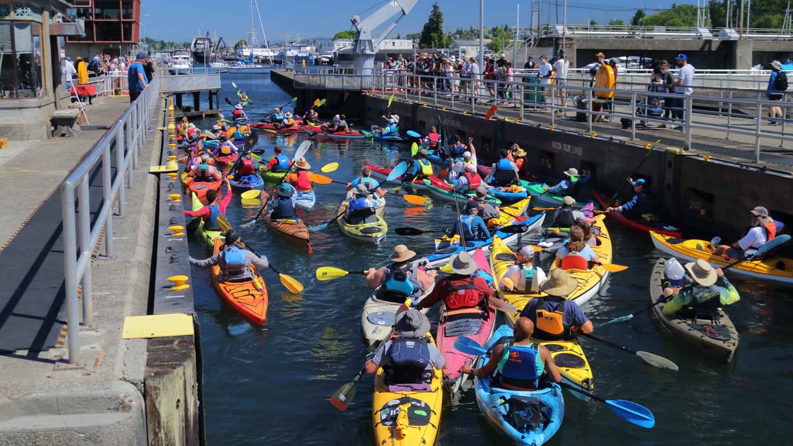 Seattle Memorial Day Kayak the Ballard Locks Mappy Hour